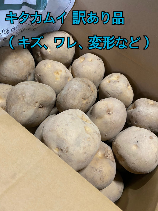 越冬キタカムイ 10kg（訳あり・糖度UP）｜北海道恵庭産・農家直送